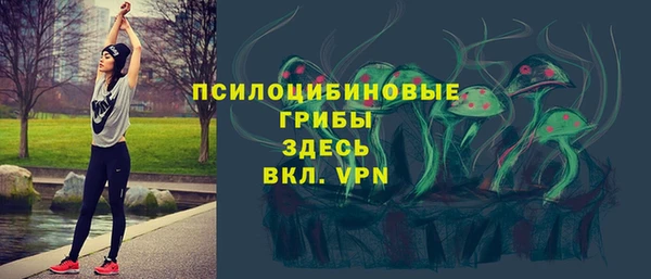 герыч Бородино
