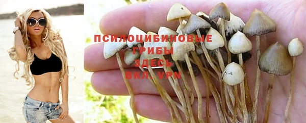 твердый Бронницы