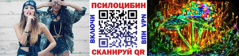 Купить  Билибино  Псилоцибиновые грибы GOLDEN TEACHER 